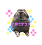 そらちゃん癒しスタンプ（個別スタンプ：5）