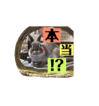 そらちゃん癒しスタンプ（個別スタンプ：9）