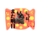 そらちゃん癒しスタンプ（個別スタンプ：11）