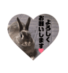 そらちゃん癒しスタンプ（個別スタンプ：13）