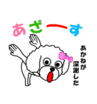 あかねのあかねによるあかねの為の日常言葉（個別スタンプ：39）