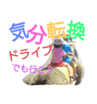 あおりおちゃん（個別スタンプ：28）