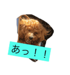 まろわた（個別スタンプ：4）