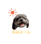 アデルと毎日（個別スタンプ：1）