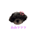 アデルと毎日（個別スタンプ：2）
