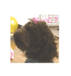 私の愛犬。（個別スタンプ：3）