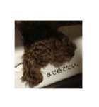 私の愛犬。（個別スタンプ：7）