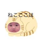 心華スタンプです。（個別スタンプ：3）