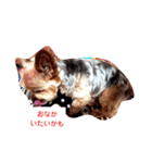 ポポちゃん・しずくちゃんの気持ち（個別スタンプ：7）