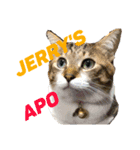 Jerry's Apo.（個別スタンプ：1）