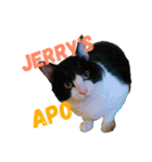Jerry's Apo.（個別スタンプ：2）
