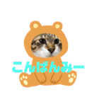 Jerry's Apo.（個別スタンプ：3）