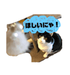 Jerry's Apo.（個別スタンプ：4）