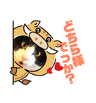 Jerry's Apo.（個別スタンプ：5）