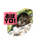 Jerry's Apo.（個別スタンプ：8）