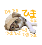 Jerry's Apo.（個別スタンプ：11）