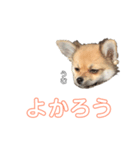 マルマルマルスタンプ（個別スタンプ：8）