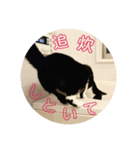 メラちゃんのスタンプ（個別スタンプ：8）