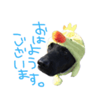 短足黒犬。（個別スタンプ：5）