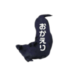 短足黒犬。（個別スタンプ：14）