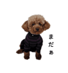 コタローの1（個別スタンプ：5）