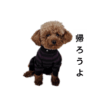 コタローの1（個別スタンプ：6）
