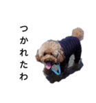 コタローの1（個別スタンプ：9）