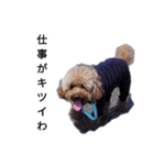 コタローの1（個別スタンプ：10）