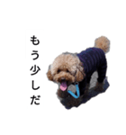 コタローの1（個別スタンプ：11）