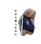 コタローの1（個別スタンプ：14）