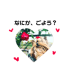 berry's stamp♡（個別スタンプ：5）