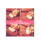 berry's stamp♡（個別スタンプ：6）