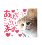 美しすぎる涼太くんのスタンプ（個別スタンプ：6）