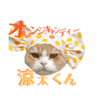 美しすぎる涼太くんのスタンプ（個別スタンプ：15）