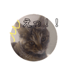 ふぁんきーファミリー（個別スタンプ：2）