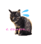 ふぁんきーファミリー（個別スタンプ：6）
