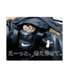 ふぁんきーファミリー（個別スタンプ：8）