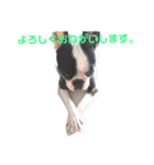 e'boston-2（個別スタンプ：5）