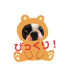 e'boston-2（個別スタンプ：8）