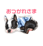 e'boston-2（個別スタンプ：9）