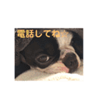 e'boston-2（個別スタンプ：12）