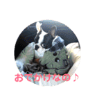 e'boston-2（個別スタンプ：13）