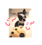 e'boston-2（個別スタンプ：21）