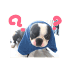 e'boston-2（個別スタンプ：22）