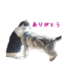 ピスカとルカ（個別スタンプ：10）