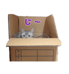 ピスカとルカ（個別スタンプ：11）