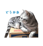 ピスカとルカ（個別スタンプ：13）