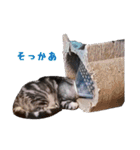 ピスカとルカ（個別スタンプ：15）