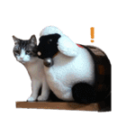 ピスカとルカ（個別スタンプ：18）