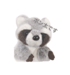 アライグマのポン太（個別スタンプ：1）
